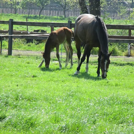 De Turffabriek Bed & Breakfast