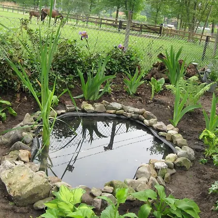 De Turffabriek Bed & Breakfast *